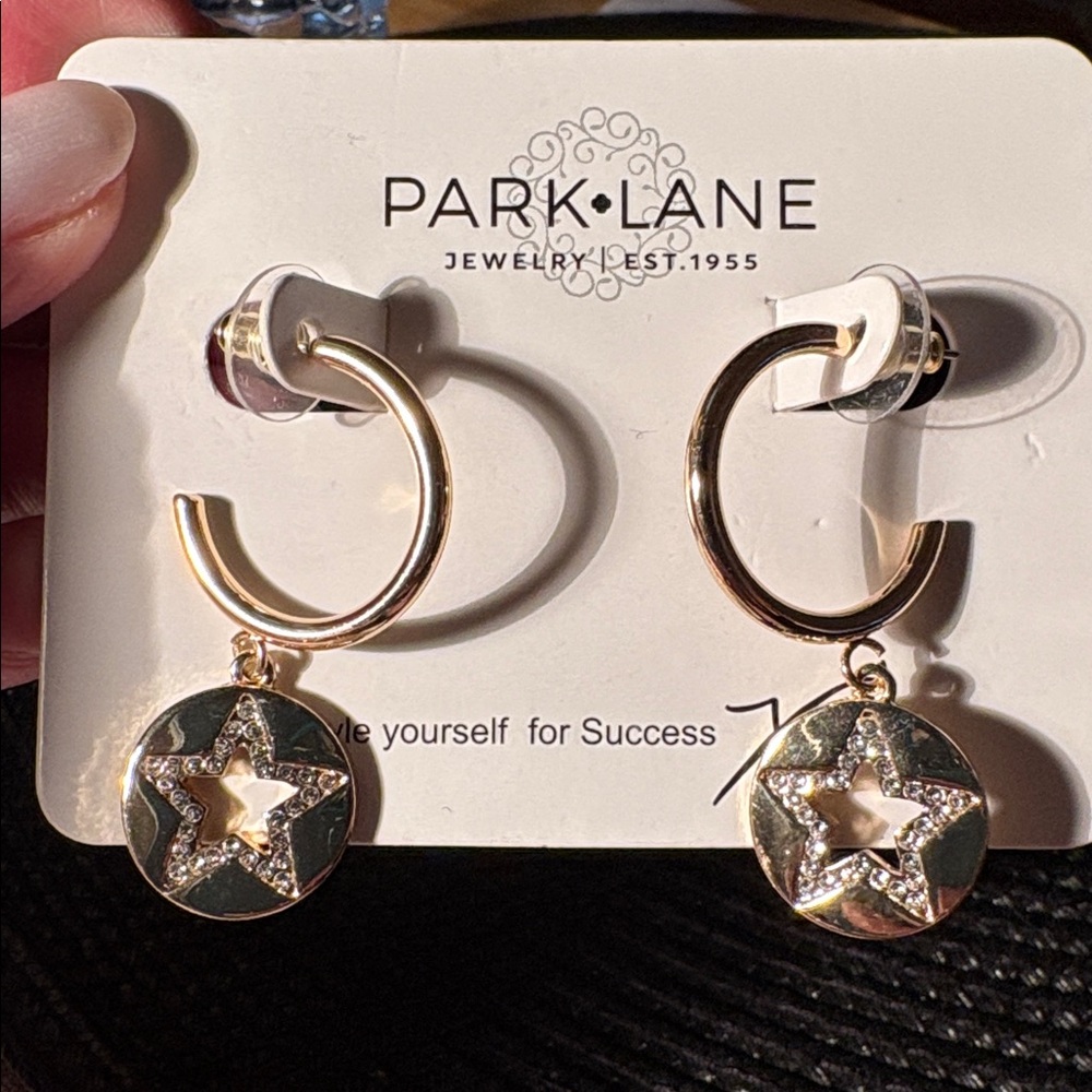0141) Park Lane Star Dangle Earrings.